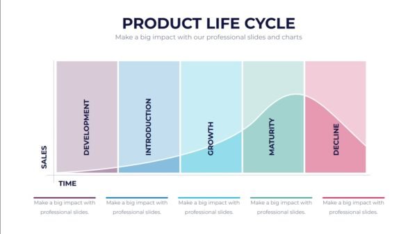 Product Life Cycle Infographic