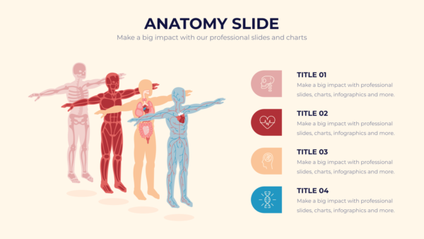Anatomy Powerpoint Infographics