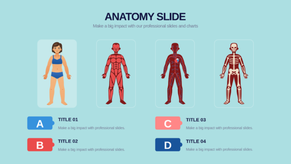 Keynote Anatomy Slides