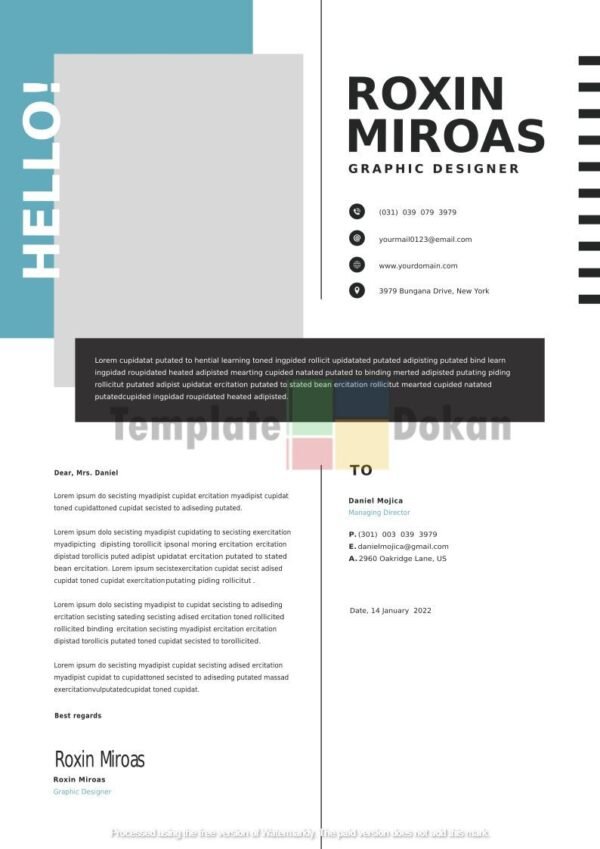 CV-Resume-Template-17