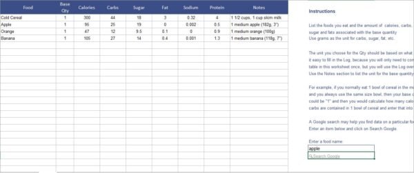 Daily Food Log Excel Template