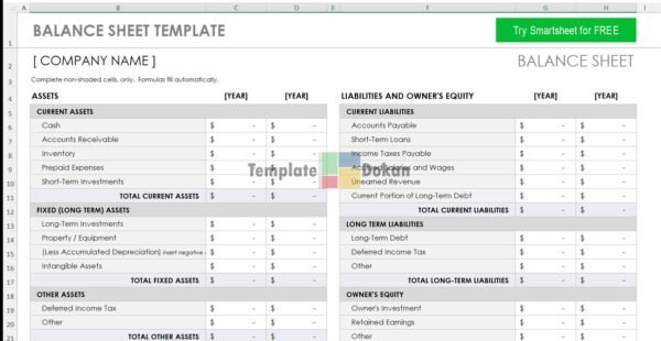 Balance Sheet Template