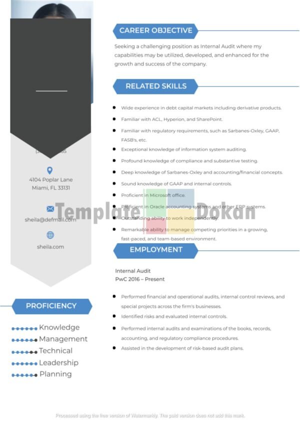 Internal_Audit_Resume-CV