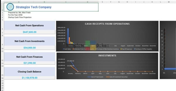 Startup Cashflow Projection Template
