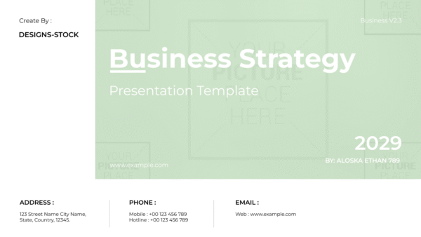 Business Strategy Presentation 2024