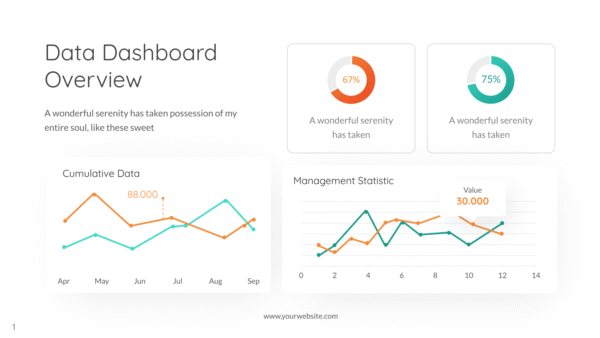 Data Dashboard 2025_V1