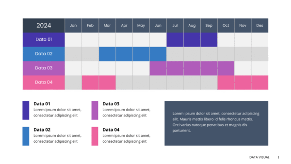 Data Visual 2024